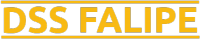 Логотип DSS Falipe