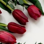 Элла Лыгорева