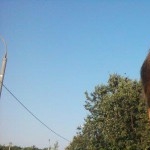 Денис Жаров