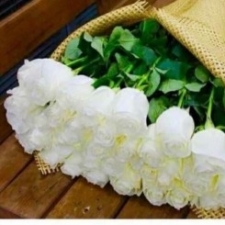 Людмила Сорокопуд