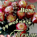 Azoma Fitas