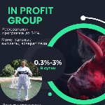 Игорь Боровин