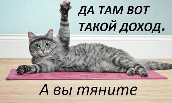 Как зарабатывать в интернете от 100.000 рублей и выше в компании Elysium https://youtu.be/6oy0HwAnF_8