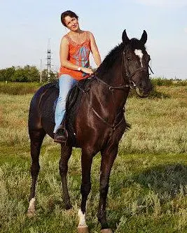 Наездник