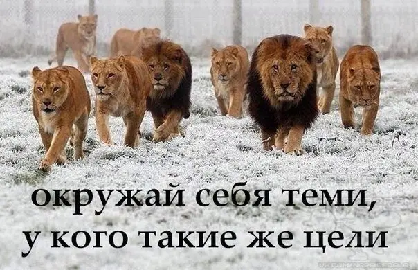 $ ПИШИТЕ ДАМ ПОДРОБНУЮ ИНФОРМАЦИЮ ☎ Telegram: @Kvasha74 ☎ SKYPE: live:.cid.17815ef97d06b03a